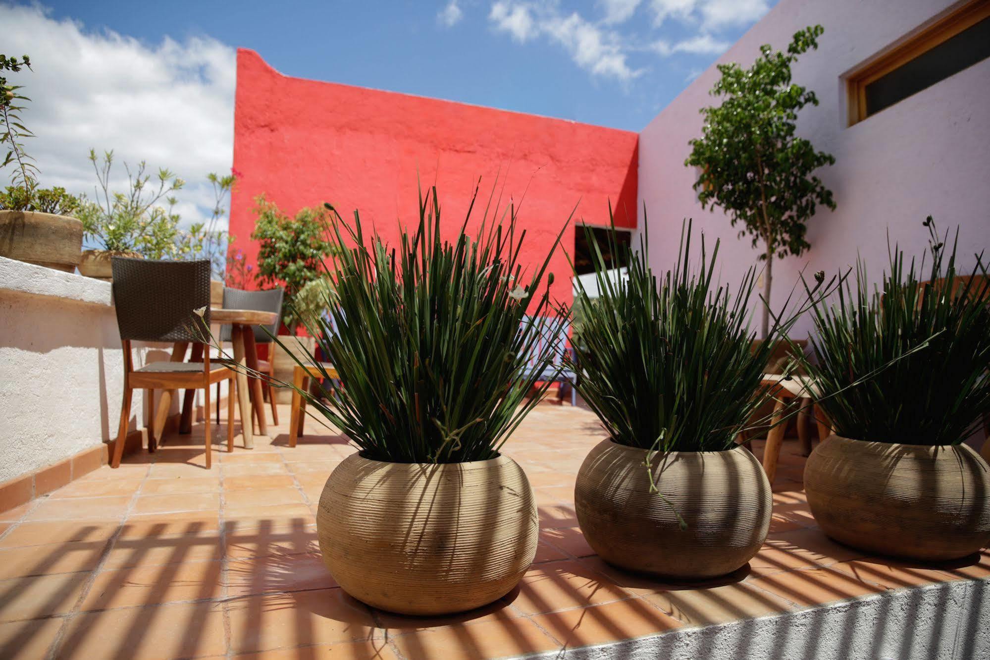 ברנל Casa Tsaya Hotel Boutique מראה חיצוני תמונה